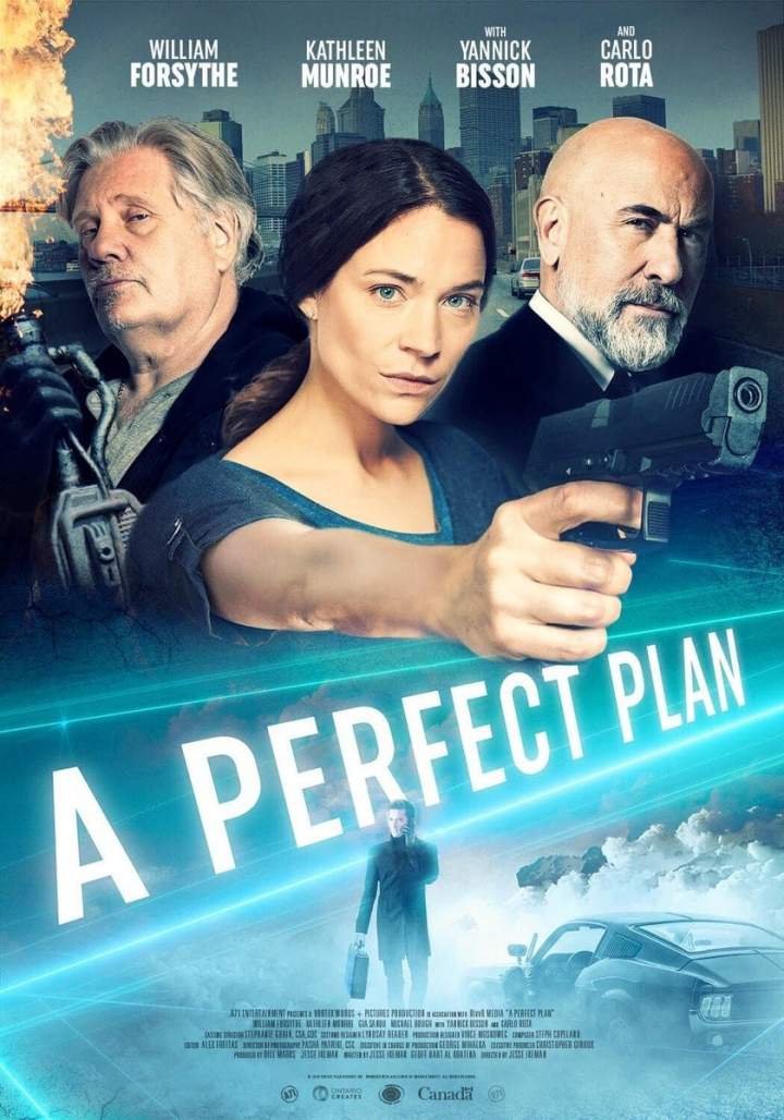 A Perfect Plan (2020) Download Movie Download
