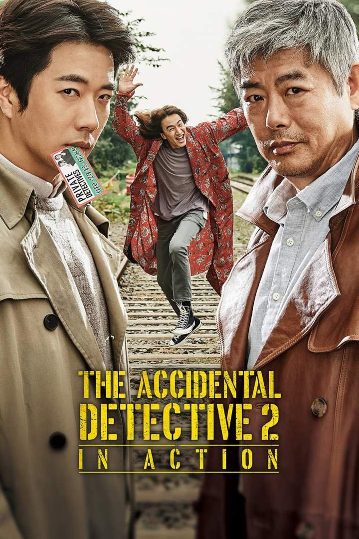 The Accidental Detective 2: In Action (2018) Download Movie Download