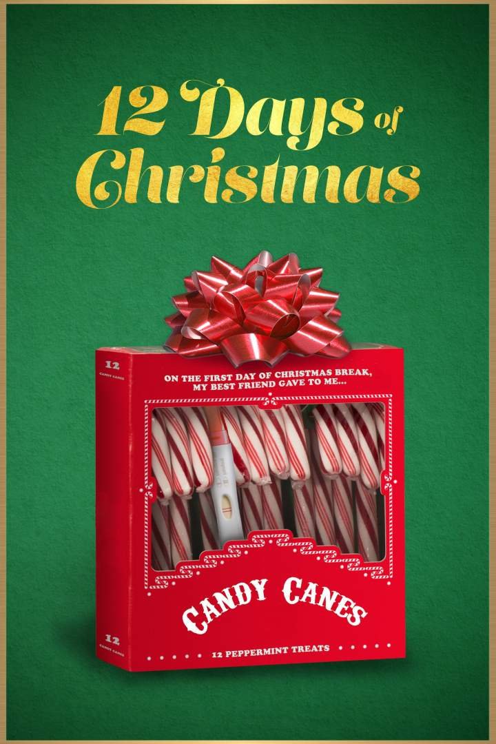 12 Days of Christmas (2020) Download Movie Download