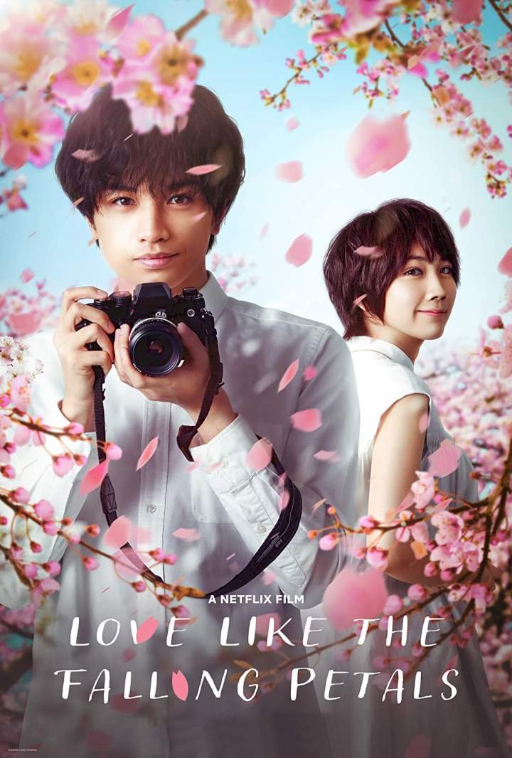 Love Like the Falling Petals (2022) Download Movie Download